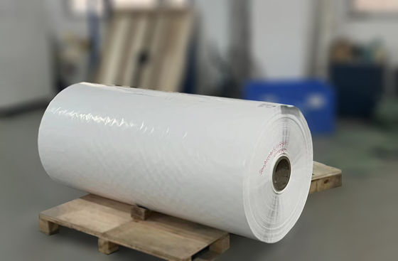 Papel transparente BOPP para etiquetas en rollo en blanco