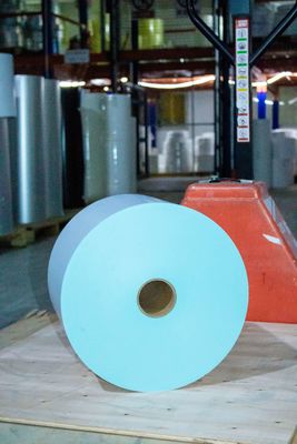 Proof Heat Blank Autoadhesivo de papel térmico rollo de pegatina certificado por SGS