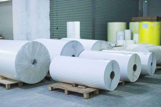 Papel térmico resistente a los arañazos Jumbo Roll de alta viscosidad Stong Tipo de espalda pegajosa