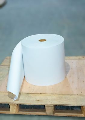 Papel térmico resistente a los arañazos Jumbo Roll de alta viscosidad Stong Tipo de espalda pegajosa