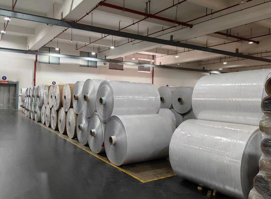 Etiqueta de papel impermeable de rollo de la aprobación SGS