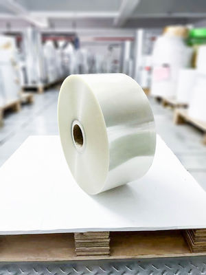 Material de etiqueta transparente de BOPP, papel autoadhesivo Jumbo Roll