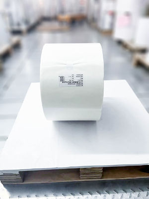 Papel transparente BOPP para etiquetas en rollo en blanco