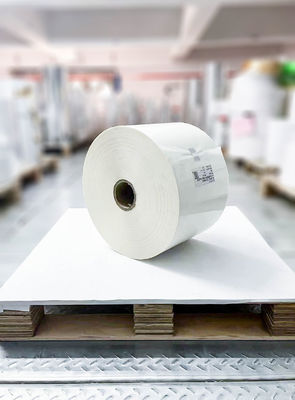Pegamento de aceite BOPP Etiqueta de rollo, etiqueta adhesivo de papel 50 u espesor de la cara