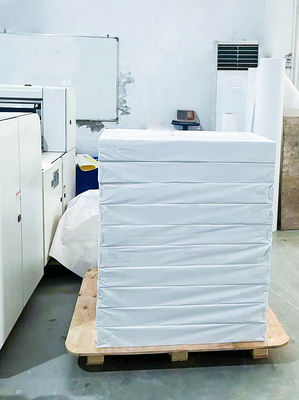 Material de etiqueta sintética pegajosa ordinaria Papel pegamento extraíble