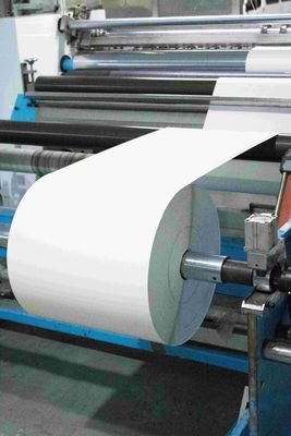 Adhesivo extraíble Material de etiqueta sintético simple pegatina de rollo normal pegajoso