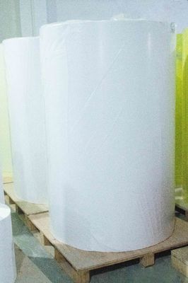 Tipo de pegamento acrílico Rollo de papel recubierto de adhesivos 80 u espesor de superficie