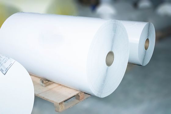 Etiqueta térmica autoadhesiva Jumbo Roll, papel adhesivo de espalda 54u espesor de superficie