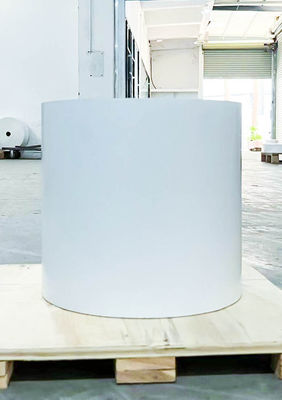 Buen precio Papel sintético autoadhesivo brillante y resistente a los arañazos en línea