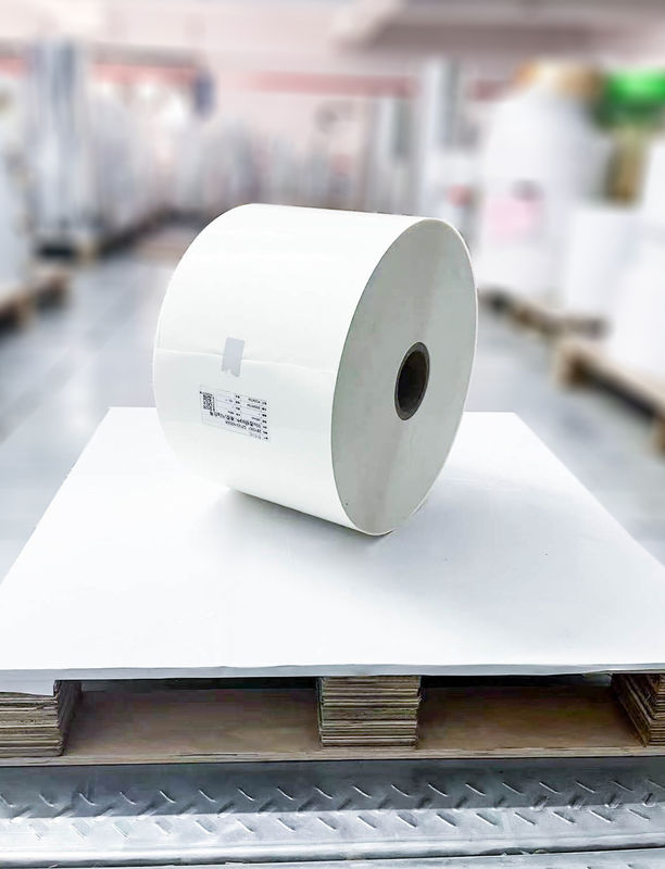 Material de etiqueta de PE lechoso Papel de rollo Adhesivo acrílico Tipo