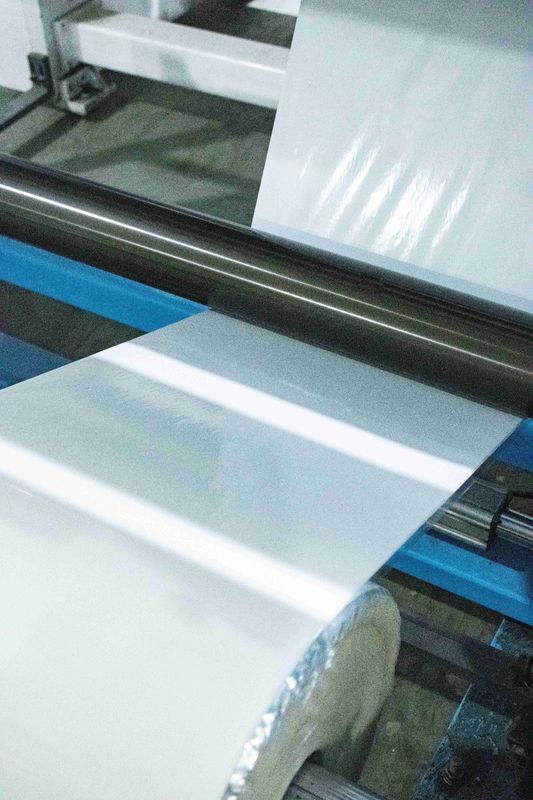 Película de impresión PET transparente Etiquetas autoadhesivas Materiales de etiquetado Papel tipo pegamento caliente