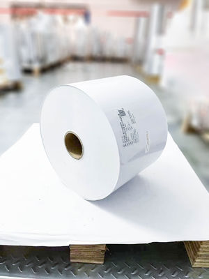 Buen precio Papel de adhesivo autoadhesivo de PET ópalo transparente pegamento de aceite impermeable en línea