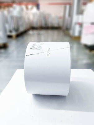 Buen precio Tipo de pegamento de aceite Autoadhesivo Papel en rollos de PVC Transparente PET Ordinario Adhesivo en línea